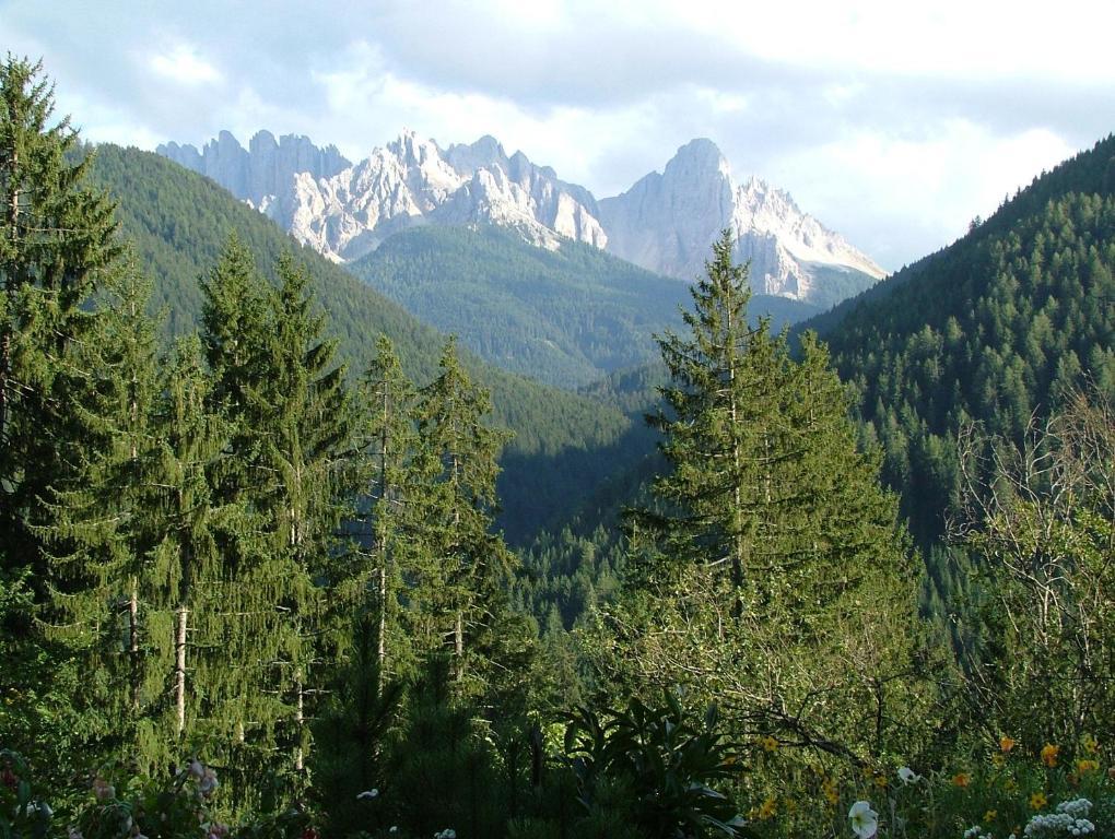 Hotel Aktiv Schonwald 3*